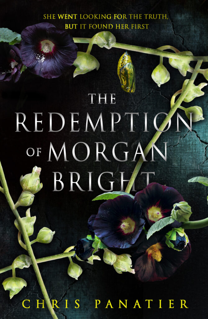 The Redemption of Morgan Bright book cover