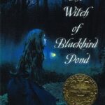 The Witch of Blackbird Pond
